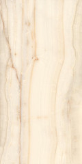 OPAL BONE PRIME RECTIFIED POLISHED NANO