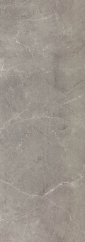 SILYON GREY RECTIFIED